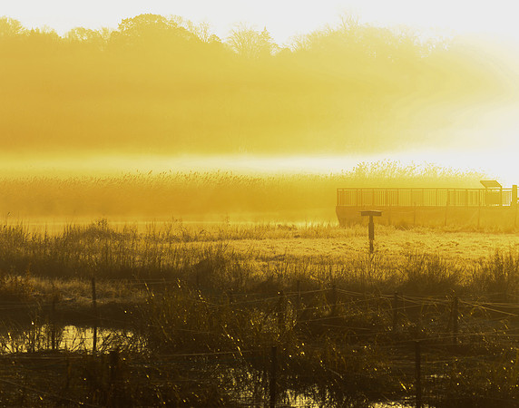 APEC Frosty Morning