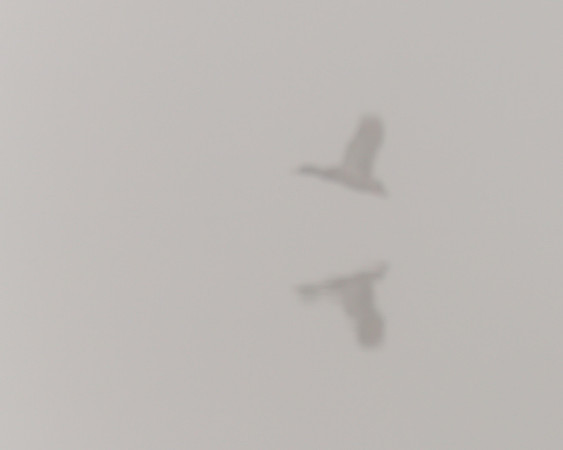 Reflecting Foggy Takeoff