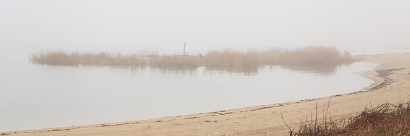 Foggy Day Beach (Limited Edition)