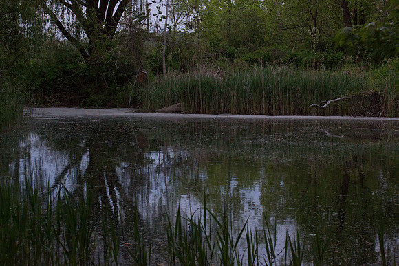 APEC Pond