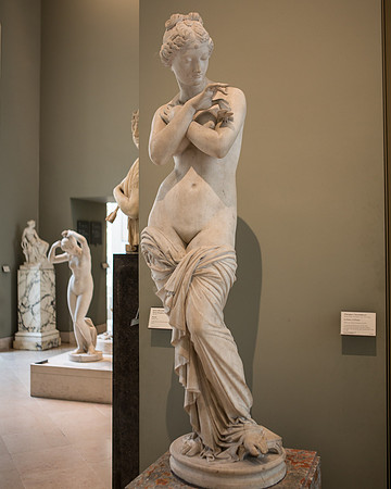 Musée Louvre- 2