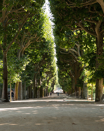Jardain de Plants, Paris, France